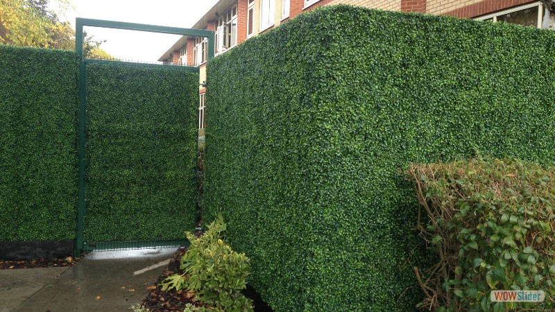 MODELLO BOXWOOD 1