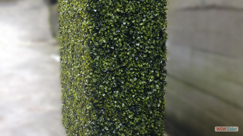 MODELLO BOXWOOD 3D ARTIFICIALE 